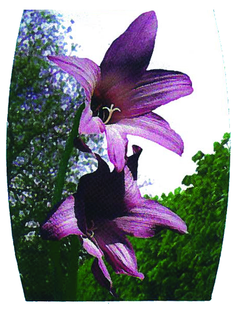 DAREC 574 Lily PROOF e